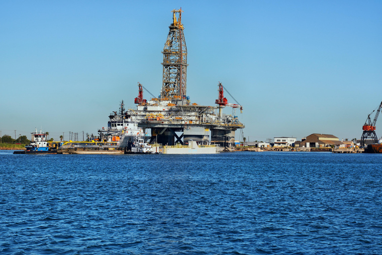 7-Hour Best Of Houston and Galveston Tour