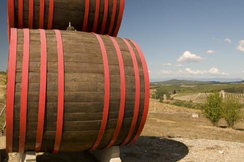 Private Chianti and SuperTuscan Shore Excursion from Livorno Shore Excursion from Livorno