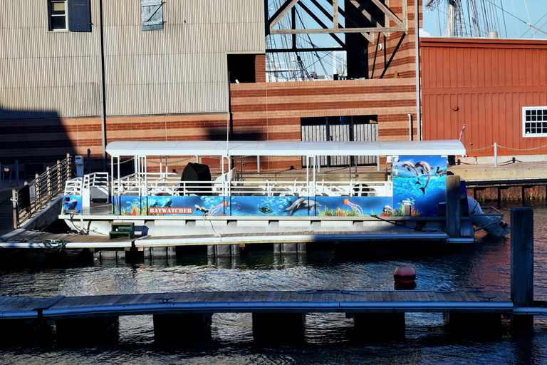 Best of Galveston Tour from Houston