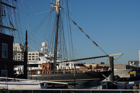 From Houston: Galveston Tour with Tall Ship Elissa Admission