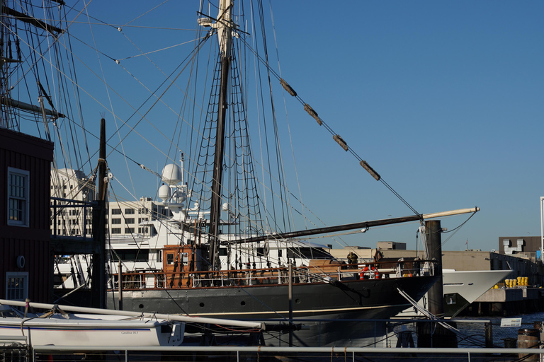 From Houston: Galveston Tour with Tall Ship Elissa Admission