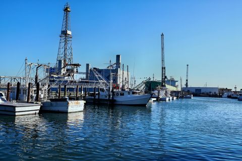 From Houston: Galveston Tour with Tall Ship Elissa Admission