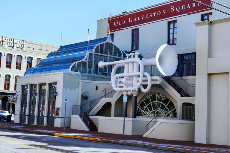 From Houston: Galveston Tour with Tall Ship Elissa Admission