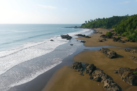 Bahia Solano with Whales