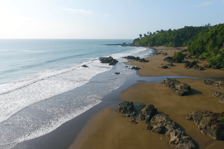 Bahia Solano with Whales