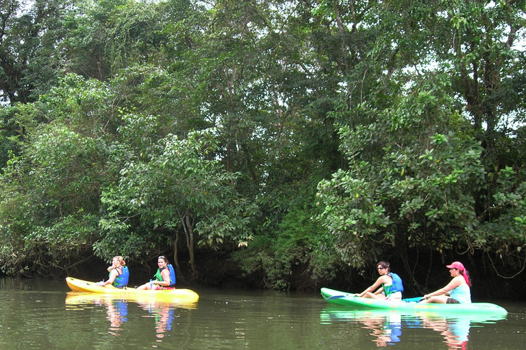 Bahia Solano z wielorybami