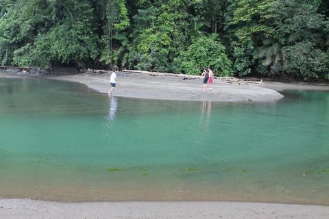 Bahia Solano com baleias