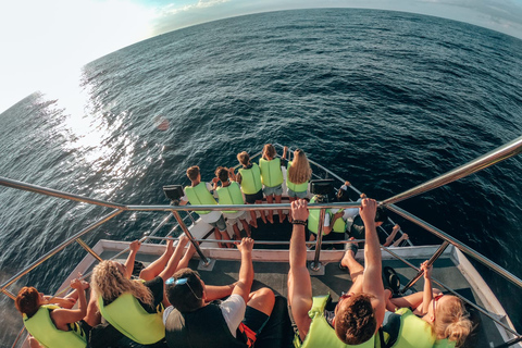 Mirissa : observation des baleines le matin