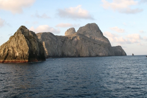 Diving to Malpelo’s Sanctuary