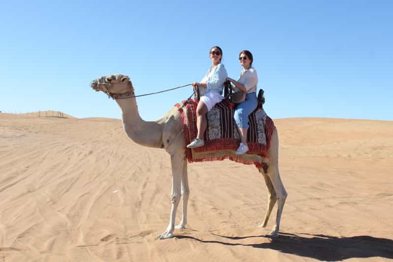 Dubai Evening Desert Safari with ATVs or Dune Buggies GetYourGuide