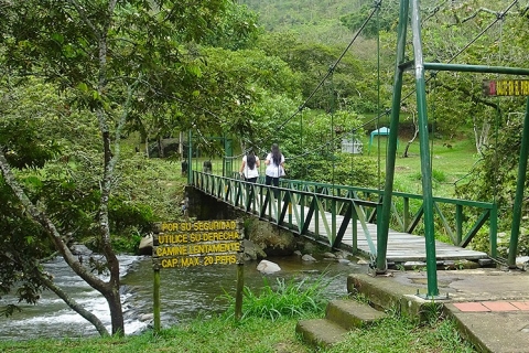 Pance River & Pico de Loro Trek