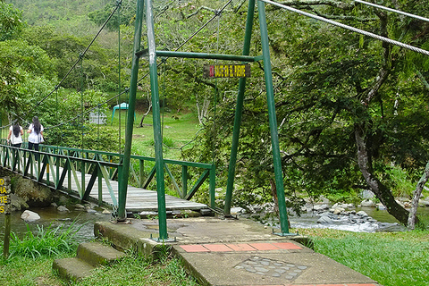 Pance River & Pico de Loro Trek