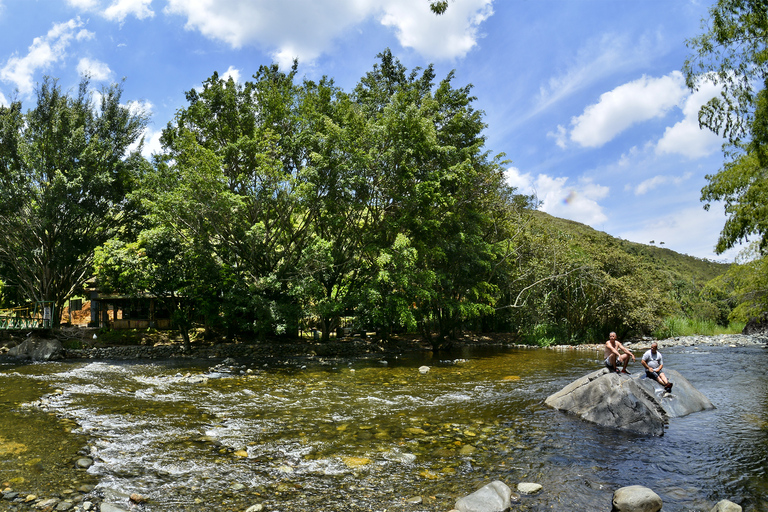 Pance River & Pico de Loro Trek