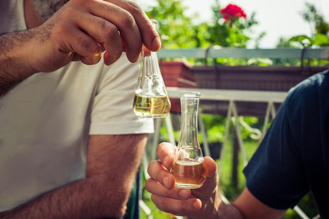 From Belgrade: Ram & Golubac Fortresses with Rakia Tasting