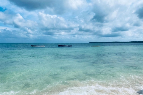 Baru: Ausflug auf die Insel, Abendessen und leuchtender Plankton