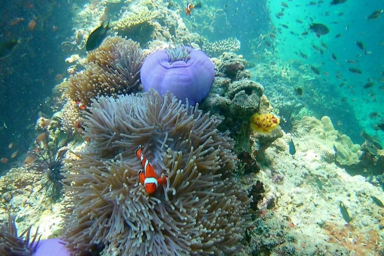 Krabi: Freediving i snorkeling w Yawasam i Talu IslandMiejsce spotkań w hotelu Phra Nang Inn w Ao Nang