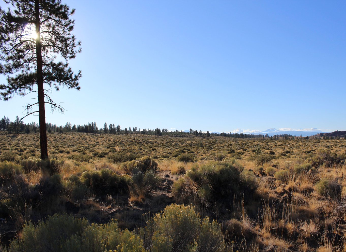 Bend: Halvdags Lava Tube Cave Tour