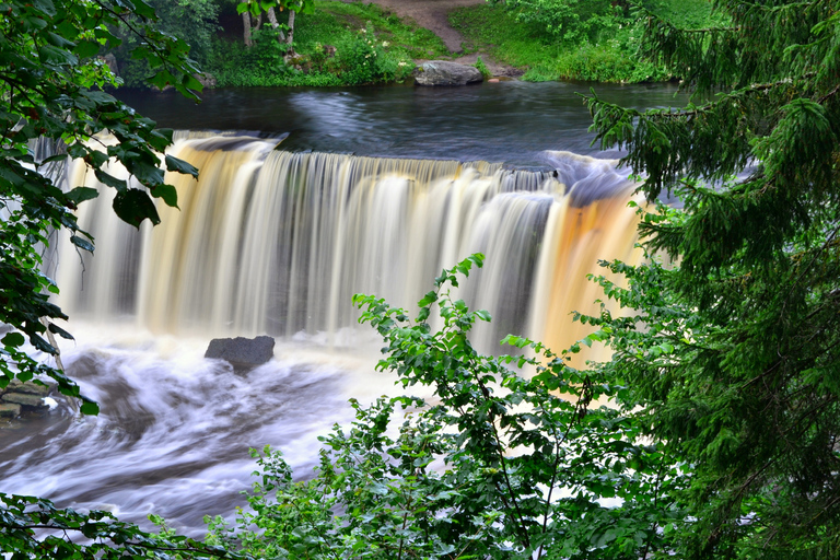 Wunderschöne nordische Natur im Nordwesten Estlands