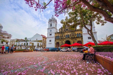 Panama : visite privée de la ville de Miraflores, du canal et de Casco Viejo