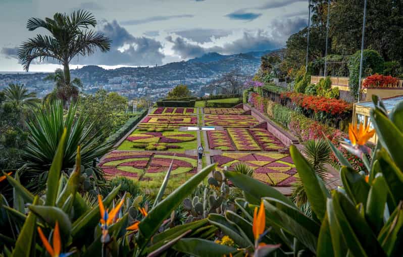 Funchal: Visita ao Jardim Botânico e à Zona Velha em TukTuk (1h45)