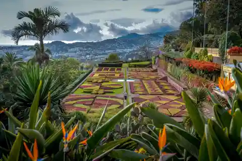 Funchal: Botanischer Garten & Altstadt Tour mit dem TukTuk (1h45)