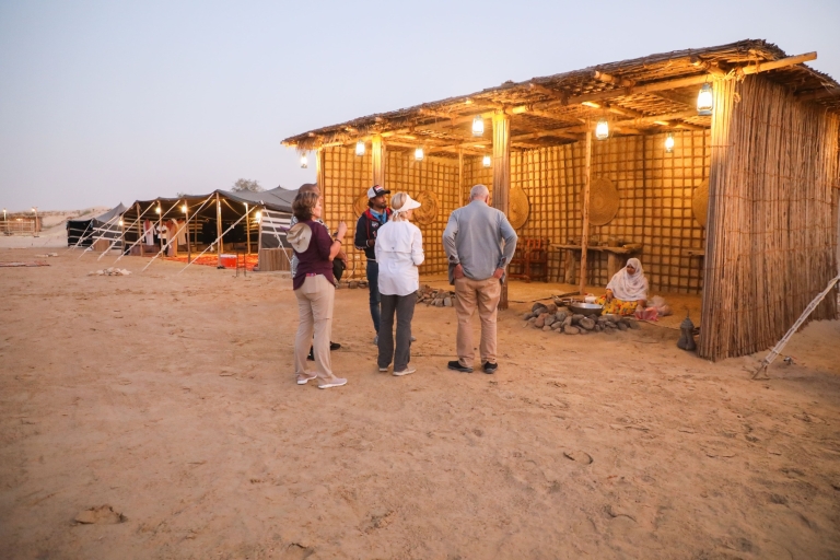 Dubaï : safari dans les dunes rouges et balade à dos de chameau à l'oasis d'Al MarmoomVéhicule privé
