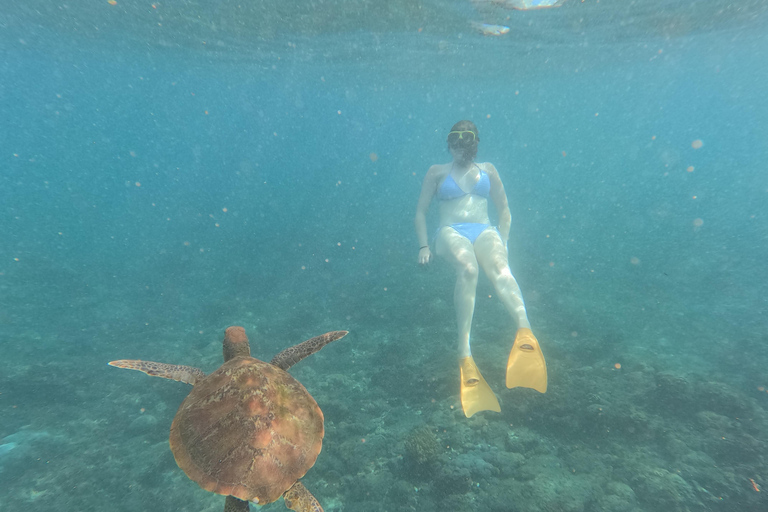 Lembongan: Manta Bay, Turtle Bay, & Gamat Bay Snorkeling