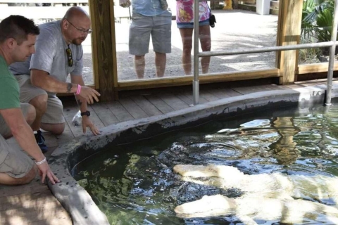 Orlando: toegang tot Wild Florida Park en een alligatorshow