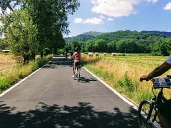 Lucca: Self-Guided Bike Tour to the Wine Roads