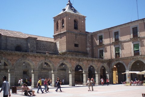 De Madrid: visite privée d'Avila et de Salamanque