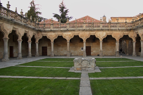 De Madri: Excursão particular a Ávila e SalamancaDe Madri: excursão privada a Ávila e Salamanca