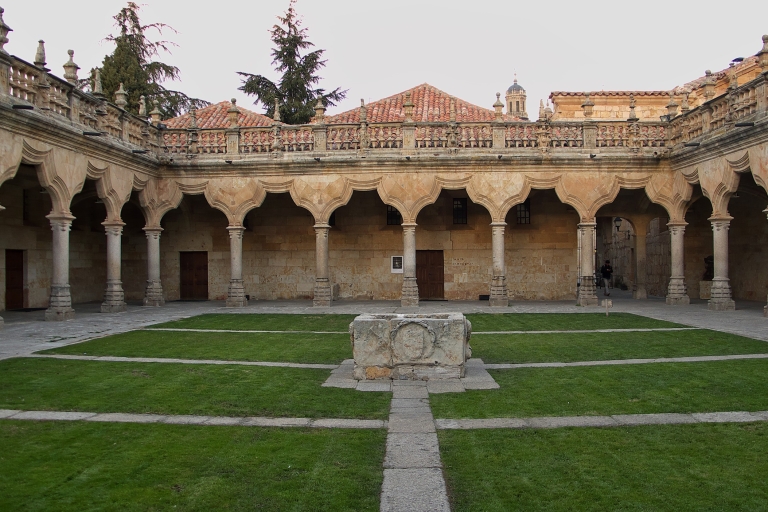 Z Madrytu: prywatna wycieczka Avila i Salamanca