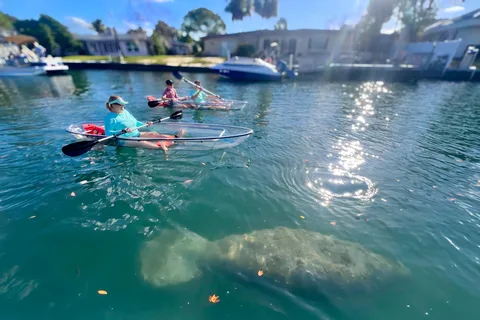 Crystal River: Clear Kayak Manatee Tour w/Free Photo Package