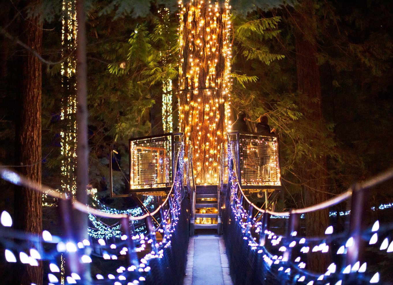 Vancouver: Capilano Suspension Bridge Park billet