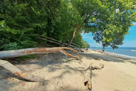 Gdynia: Forest, Cliff, and Beach Guided Walking Tour