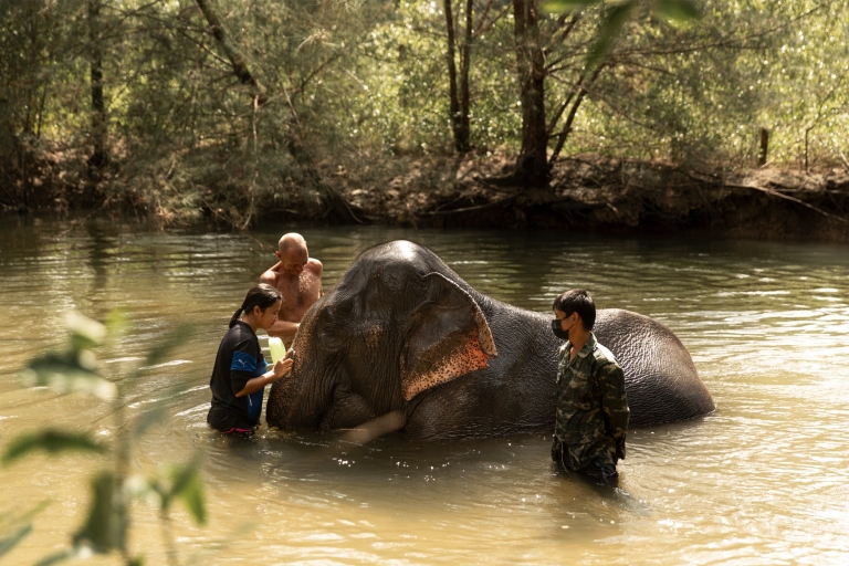 Khao Lak: Safari de elefantes con almuerzo