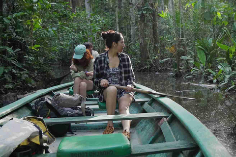 Tambopata Jungle 2D | Monkey Island &amp;Caiman Search