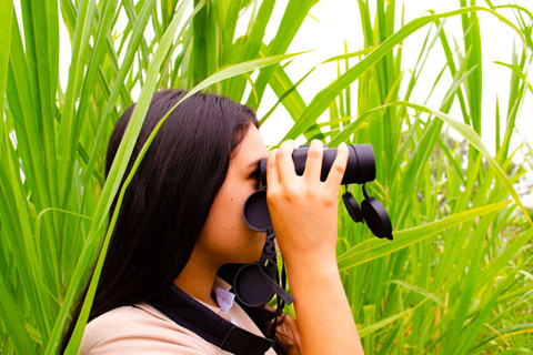 Cali: Observación de aves en DapaObservación de aves - Dapa