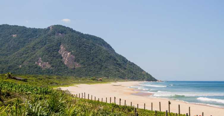 Prettier beaches: Recife or Rio de Janeiro (life, places, people