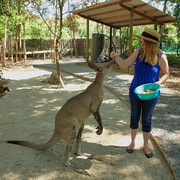 Hartley's Crocodile Adventures: Zootastic 5 + Entry Ticket