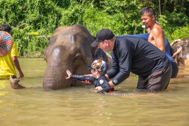 Da Khao Lak: gita di un giorno a Khao Sok con visita al campo degli elefanti