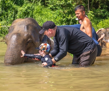 From Khao Lak: Day Trip to Khao Sok with Elephant Camp Visit