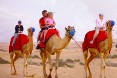 Dubai: Safari nas Dunas Vermelhas, passeios de camelo, sandboard e churrasco