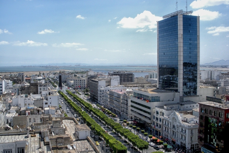 Gouvernement Tunis: dagtourHele dag