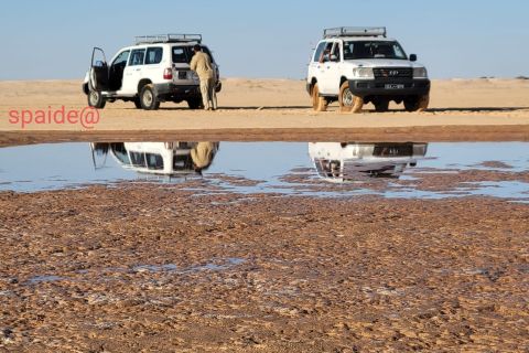 Tozeur: 2-Day Desert Overnight Stay in a Tent & Camel Trek