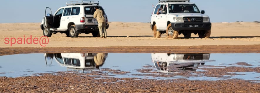 Tozeur: 2-Day Desert Overnight Stay in a Tent & Camel Trek