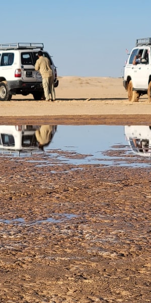 Tozeur, 2-Day Desert Overnight Stay in a Tent & Camel Trek