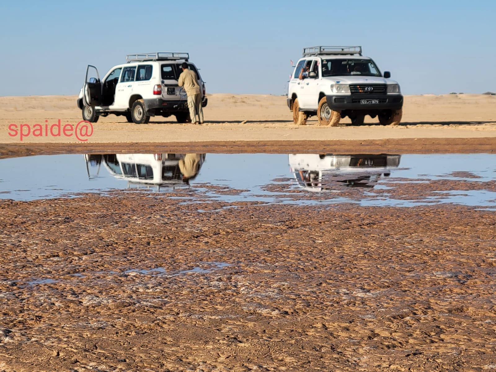 De Tozeur: 2-tägige Sahara-Tour mit Übernachtung im Zelt & Kameltrekking