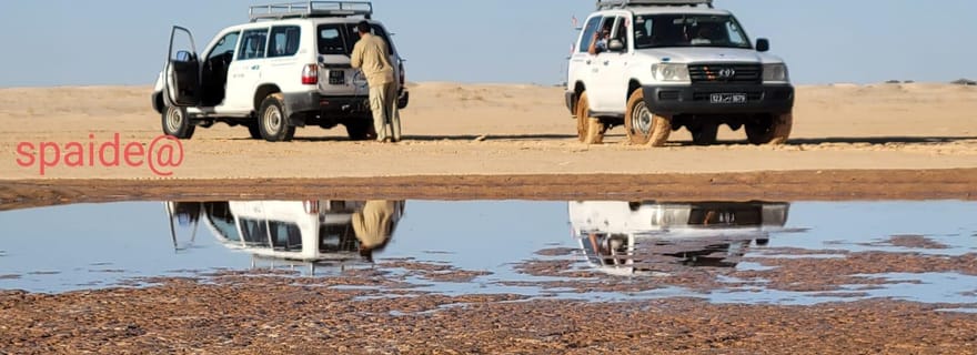 De Tozeur : circuit de 2 jours dans le Sahara avec nuit sous tente et randonnée à dos de chameau