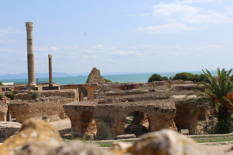 Gobernación de Túnez: tour de día completoDía completo con recogida en Hammamet y Sousse (tarifas adicionales)